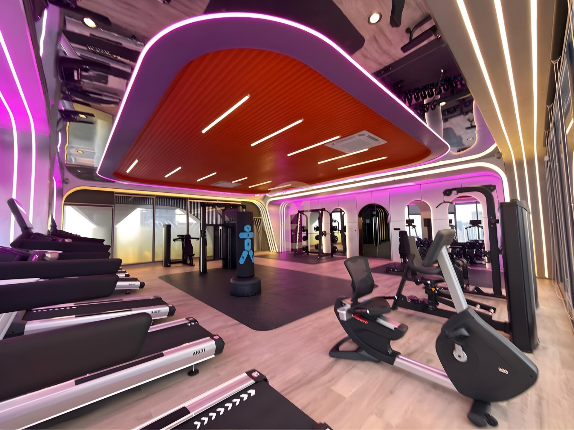 625381116_919697821004087_882736205033357581_n